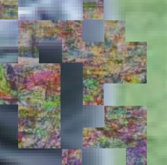 adversarial defense